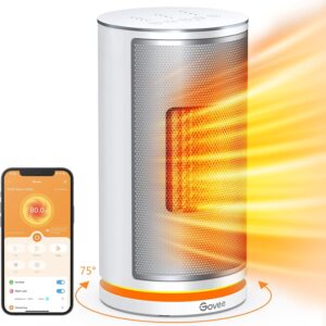 Govee Smart Space Heater