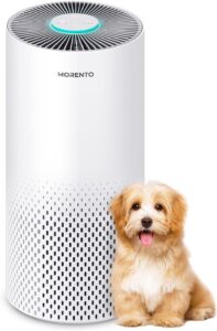 MORENTO air purifier