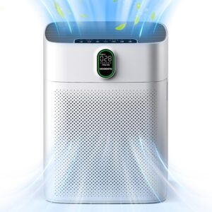 MORENTO air purifier h13