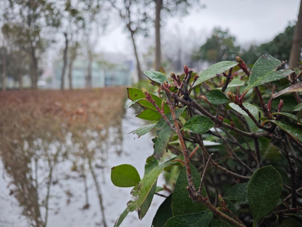 xiaomi 14 ultra camera 11
