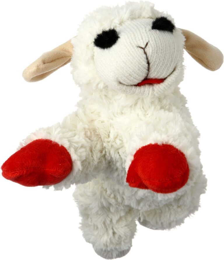 Multipet Plush Dog Toy