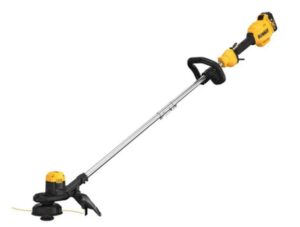 DEWALT DCST925M1