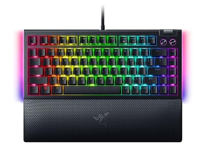 Razer BlackWidow V4