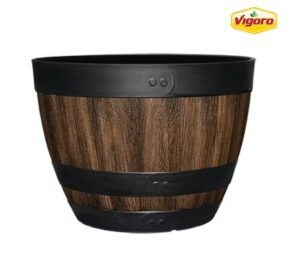 Vigoro