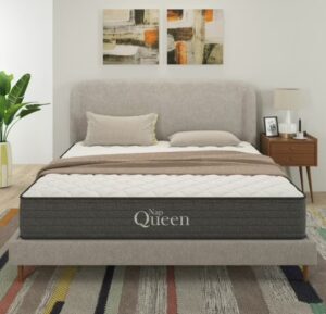 NapQueen