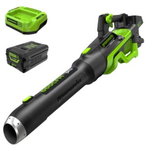 greenworks