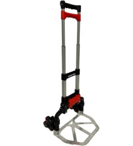 The Magna Cart