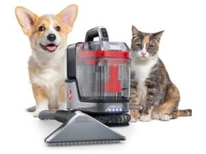 Hoover