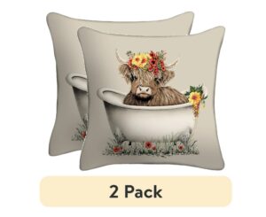 Mainstays 16" x 16" Decorative Outdoor Throw Pillow $6 1 Mainstays