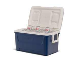 Igloo
