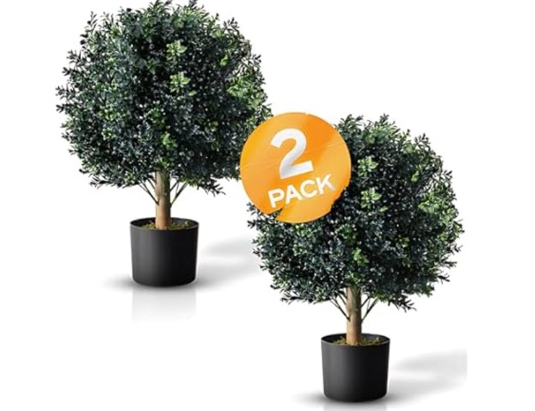 2-Pack Botaro Tresil Pre-Potted 24" Topiary $33.99 11 Botaro Tresil