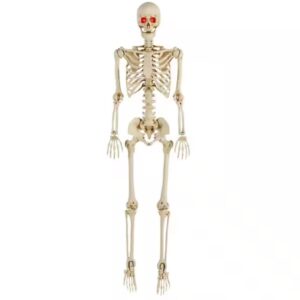 Home Accents Holiday