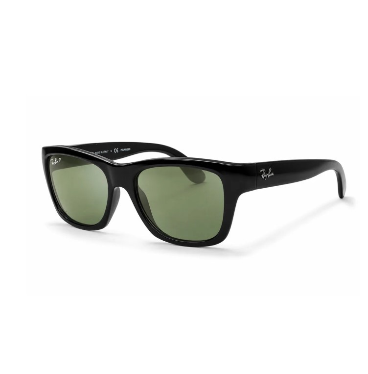 Ray-Ban Men's Wayfayer Polarized Sunglasses $69.99 1 Ray-Ban