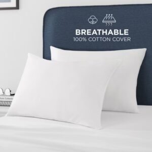 2-Pack Great Sleep Down Alternative Cotton Sateen Covered Pillows $24.26 5 Great Sleep