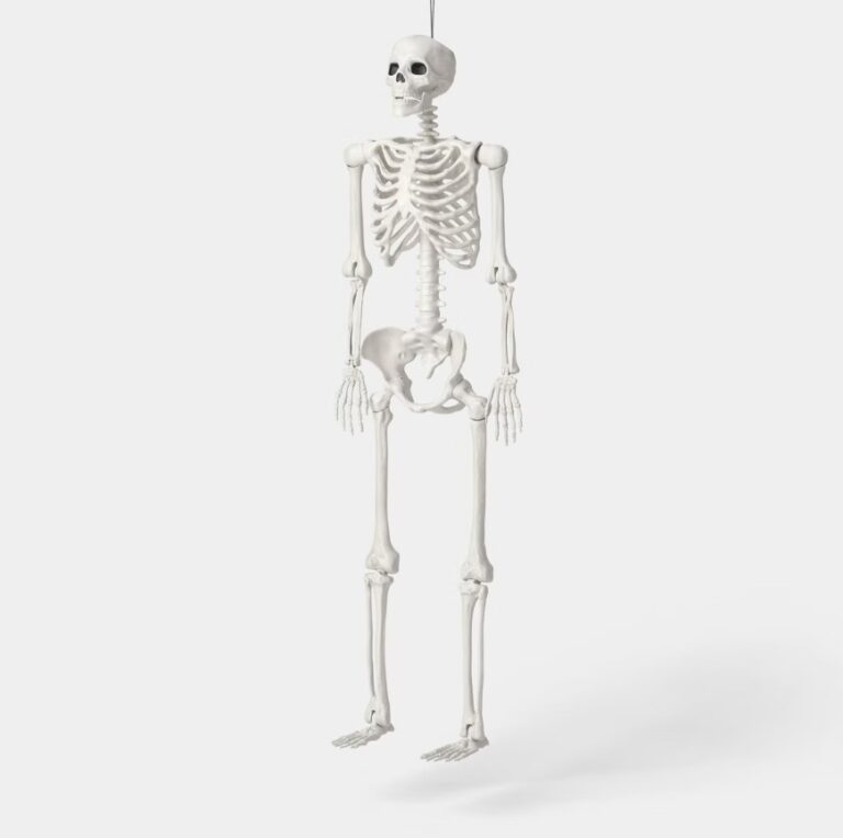 Hyde & EEK! 60" Multi Pose-N-Stay Poseable Lifesize Skeleton Halloween Decorative Prop $15 9 Hyde & EEK!